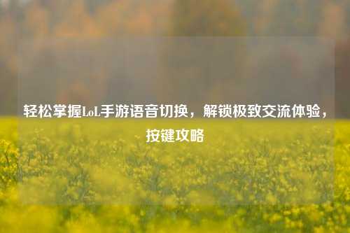轻松掌握LoL手游语音切换,解锁极致交流体验,按键攻略