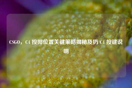 CSGO,C4 投掷位置关键策略揭秘及扔 C4 按键说明