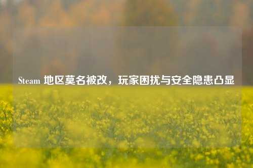 Steam 地区莫名被改,玩家困扰与安全隐患凸显
