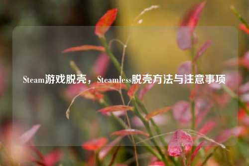 Steam游戏脱壳,Steamless脱壳 *** 与注意事项