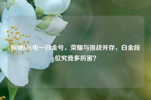 探秘LOL电一白金号,荣耀与挑战并存,白金段位究竟多厉害?