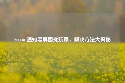 Steam 通知黑屏困扰玩家,解决 *** 大揭秘