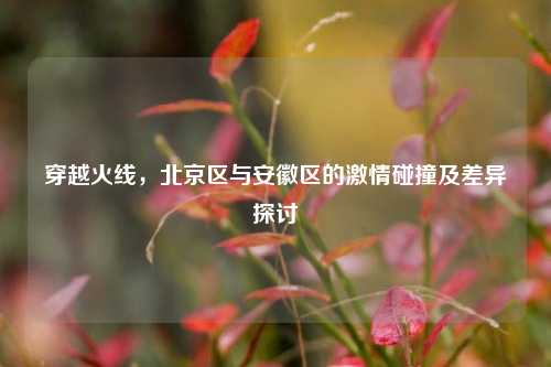 穿越火线,北京区与安徽区的***碰撞及差异探讨