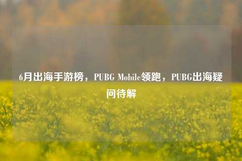 6月出海手游榜，PUBG Mobile领跑，PUBG出海疑问待解