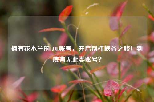 拥有花木兰的LOL账号,开启别样峡谷之旅!到底有无此类账号?