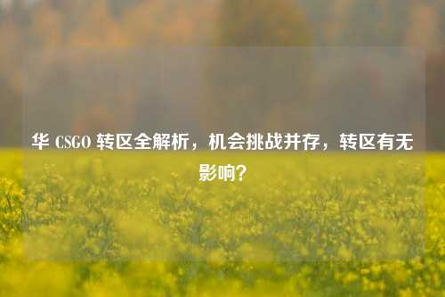华 CSGO 转区全解析,机会挑战并存,转区有无影响?
