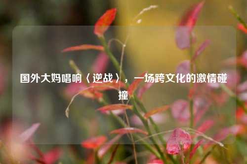 国外大妈唱响〈逆战〉,一场跨文化的激情碰撞