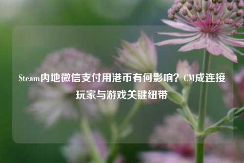Steam内地微信支付用港币有何影响?CM成连接玩家与游戏关键纽带