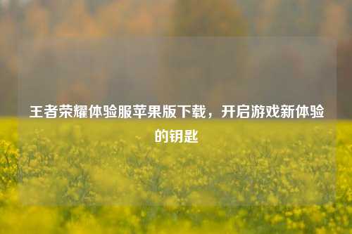 王者荣耀体验服苹果版下载,开启游戏新体验的钥匙