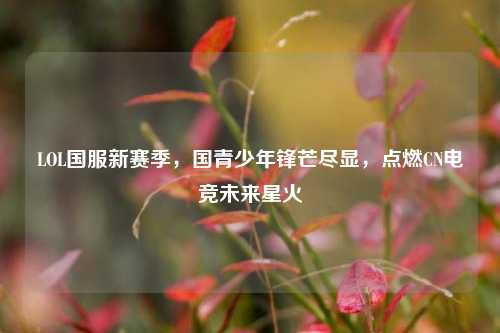 LOL国服新赛季,国青少年锋芒尽显,点燃CN电竞未来星火