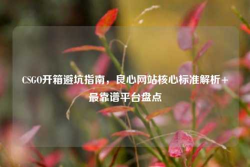 CSGO开箱避坑指南，良心网站核心标准解析+最靠谱平台盘点