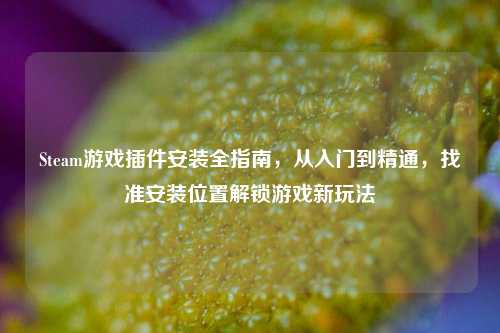 Steam游戏插件安装全指南，从入门到精通，找准安装位置解锁游戏新玩法